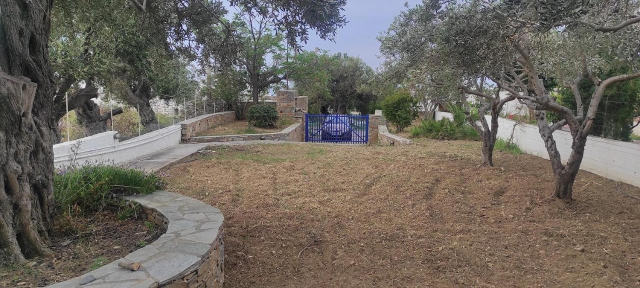 Chrysa'S Cottage House Karystos  Luaran gambar
