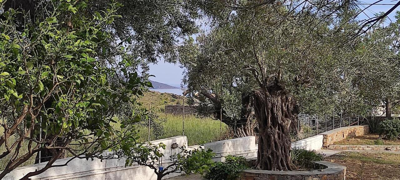 Chrysa'S Cottage House Karystos  Luaran gambar